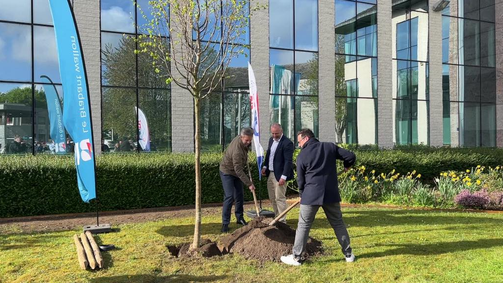 Plantation de l'arbre de solidarité.